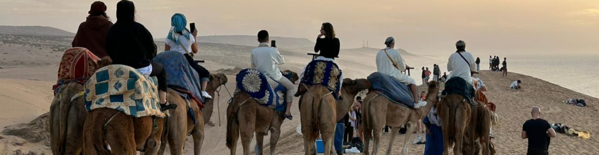 WhatsApp Image 2025-12-11 at 02.46.47_f9dcb247